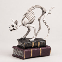 7-Inch Skeleton Cat with Books Tabletop Decor thumbnail 3