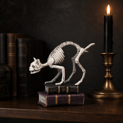 7-Inch Skeleton Cat with Books Tabletop Decor thumbnail 4