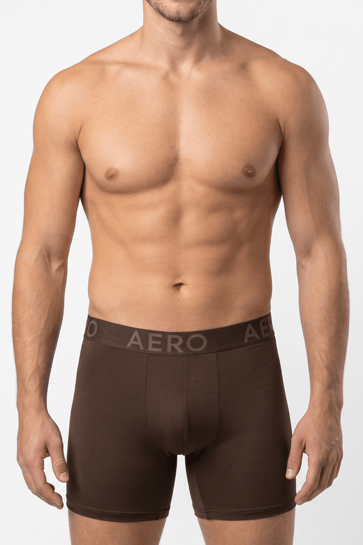 AERO Brown Boxer Briefs - AER-H66Y