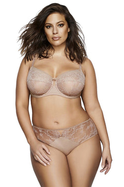 Ashley Graham PLUS Cappucino Microfiber and Lace HighCut Brief thumbnail 4