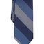 Bar III Gaffney Stripe Tie