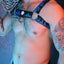Breedwell Aqua Blue Equalizer Bulldog Harness