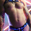Breedwell Aqua Blue Equalizer Bulldog Harness