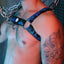 Breedwell Aqua Blue Equalizer Bulldog Harness