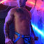 Breedwell Aqua Hex Jock