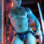Breedwell Blue Transistor Slingshot Body Harness