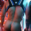 Breedwell Blue Transistor Slingshot Body Harness