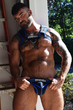 Breedwell Blue intimidator Harness thumbnail 3