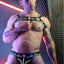 Breedwell Neon Green Equalizer Bulldog Harness