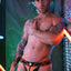 Breedwell Neon Orange Akira Jockstrap