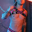 Breedwell Neon Pink Daycrawler Bulldog Harness