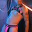 Breedwell Neon Pink Daycrawler Bulldog Harness