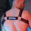 Breedwell Red Equalizer Bulldog Harness
