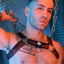 Breedwell Red Equalizer Bulldog Harness