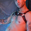 Breedwell Red Equalizer Bulldog Harness