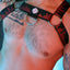 Breedwell Red Equalizer Bulldog Harness