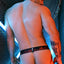 Breedwell Red Equalizer Jock