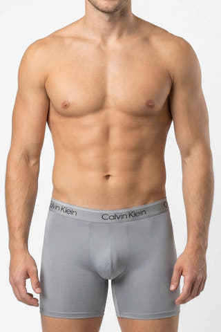Calvin Klein Gray Boxer Briefs NB2570