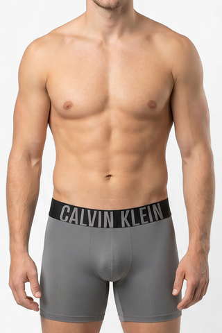 Calvin Klein Gray Boxer Briefs NB3612