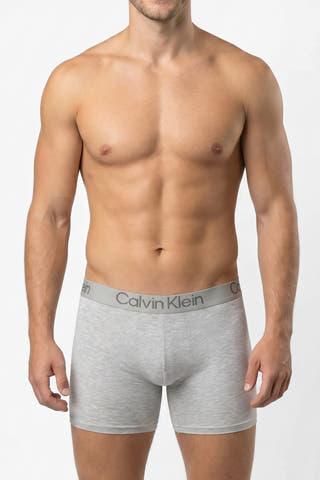 Calvin Klein Gray Boxer Briefs