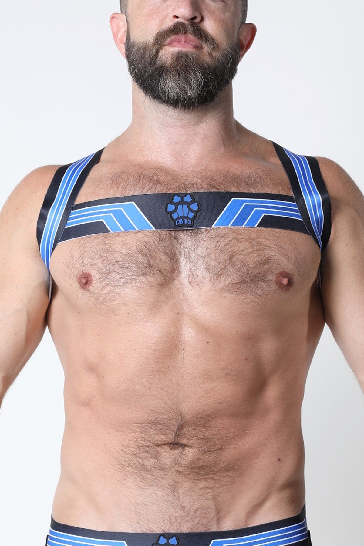 CellBlock 13 Blue Kennel Club Elastic Bandit Harness