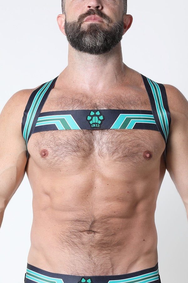 CellBlock 13 Gren Kennel Club Elastic Bandit Harness