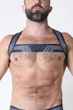 CellBlock 13 Grey Kennel Club Elastic Bandit Harness thumbnail 1
