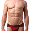 CheapUndies Maroon Polyamide Sports Brief