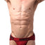 CheapUndies Maroon Polyamide Sports Brief