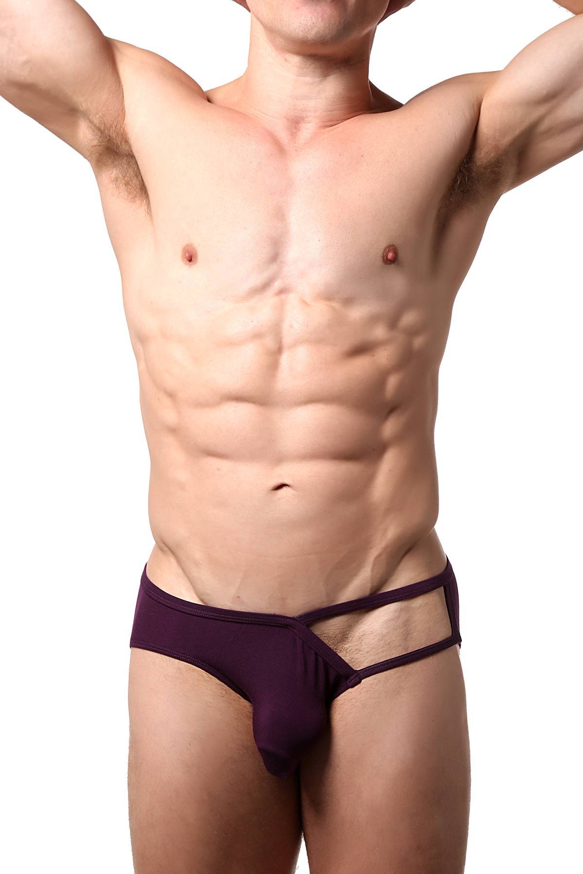 CheapUndies Merlot Exposed Side Modal Brief
