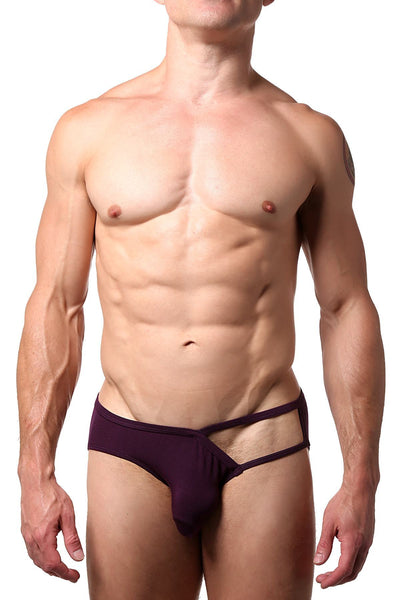 CheapUndies Merlot Exposed Side Modal Brief