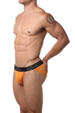 CheapUndies Orange Mesh Bikini Brief thumbnail 1