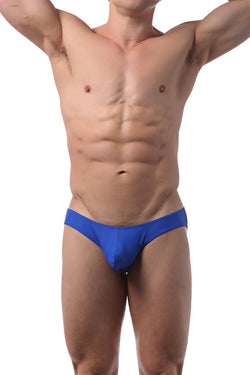 CheapUndies Royal Bikini Brief thumbnail 3