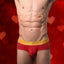CheapUndies Scarlet Red Luxe Brief