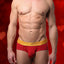CheapUndies Scarlet Red Luxe Brief