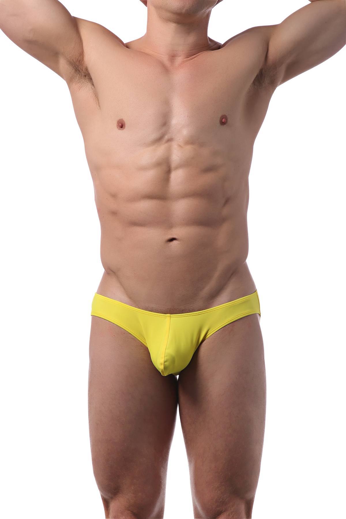 CheapUndies Sunflower Seed Bikini Brief