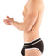G S Black California Brief