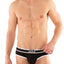 G S Black California Brief