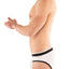 G S White California Brief