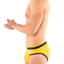G S Yellow California Brief