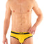 G S Yellow California Brief