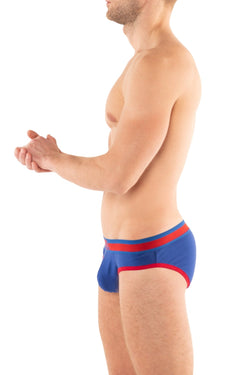 G S royal California Brief thumbnail 2