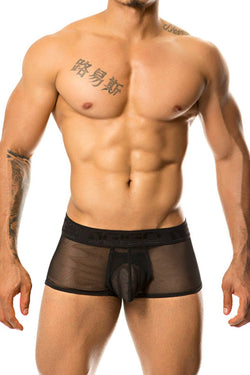 Gigo Black Luster Trunk thumbnail 1