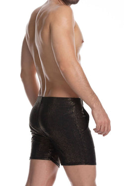 Gigo Black Sheer Shorts thumbnail 2