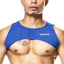 Gigo Blue Harness