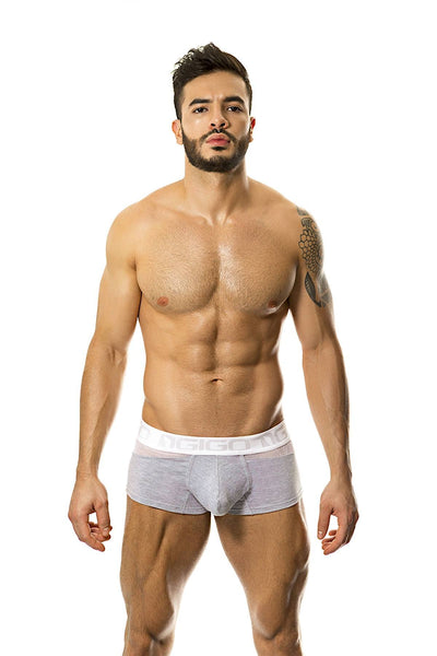 Gigo Exciter Grey Boxer Briefs