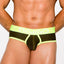 Gigo Green Zoom Brief