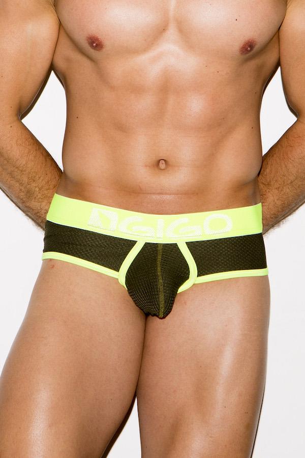 Gigo Green Zoom Brief