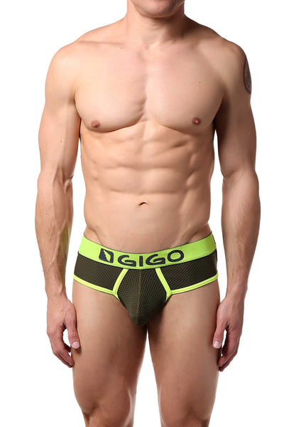 Gigo Green Zoom Brief