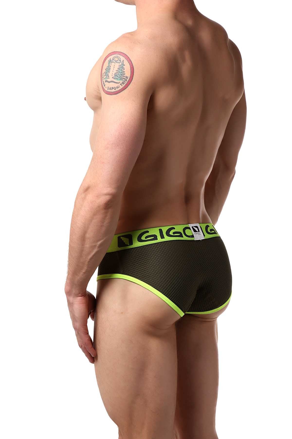 Gigo Green Zoom Brief
